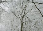 20040101 01 van aalstlaan
